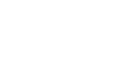 vue